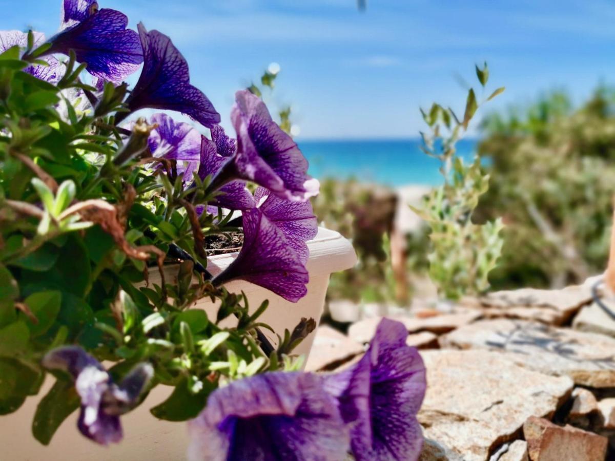 Ferienwohnung Beachfront House Geremeas Sardegna Exterior foto